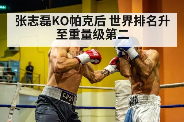 张志磊KO帕克后 世界排名升至重量级第二